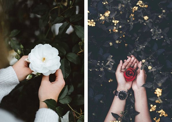  ژست عکاسی در طبیعت بهار