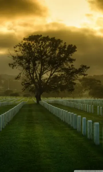  عکس قبرستون