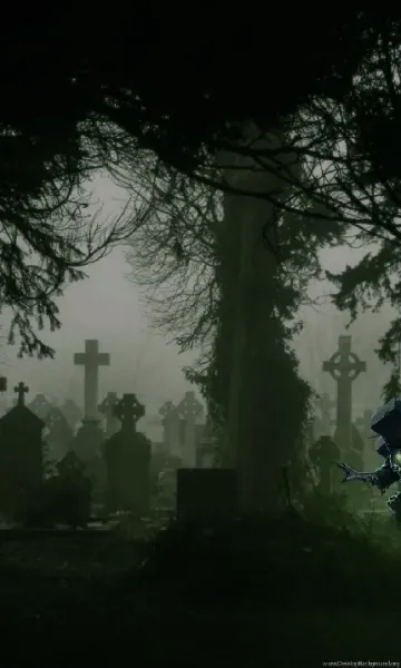  عکس قبرستون