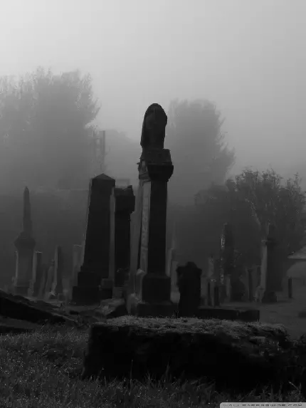  عکس قبرستون