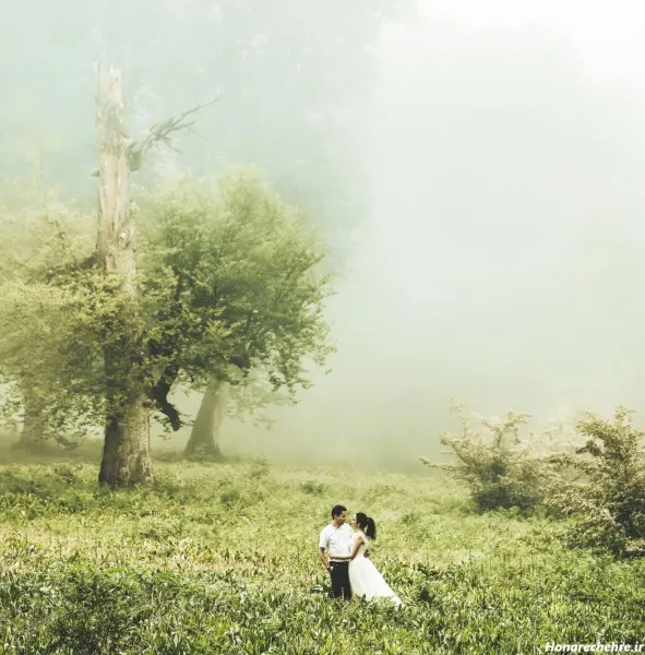  عکس عروس و داماد لاکچری