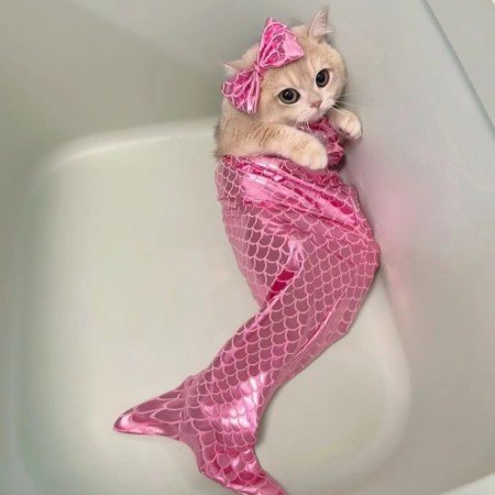  عکس بهترین لباس مجلسی