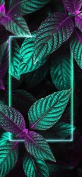  عکس جدید برای صفحه گوشی