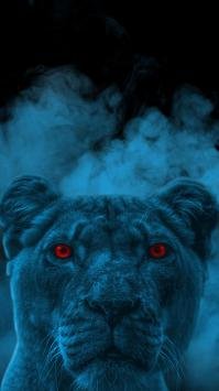  عکس جدید برای صفحه گوشی