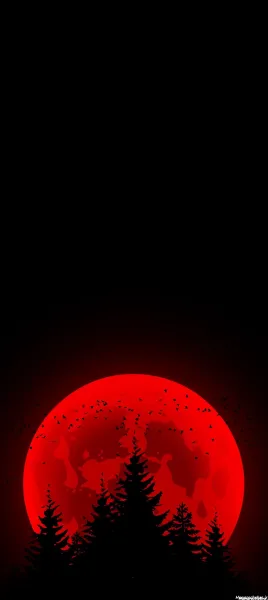  صفحه گوشی خفن