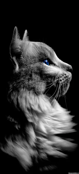  صفحه گوشی خفن