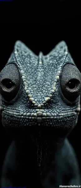  صفحه گوشی خفن