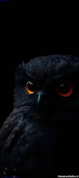  صفحه گوشی خفن