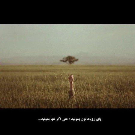 عکس اسپرت با اسب