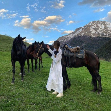  عکس اسپرت با اسب