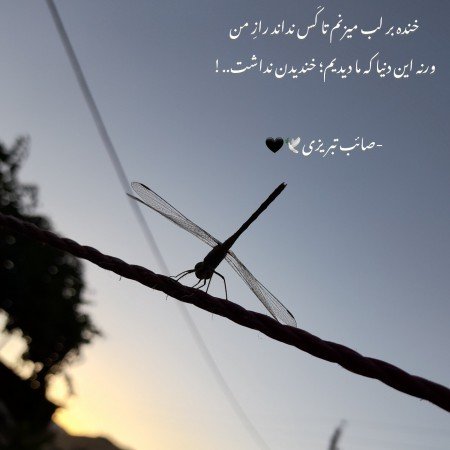  عکس اسپرت با اسب