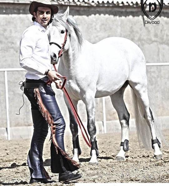  عکس اسب برای پروفایل پسرانه