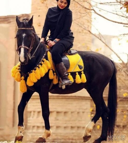  عکس اسب برای پروفایل پسرانه