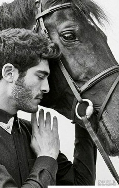  عکس اسب برای پروفایل پسرانه