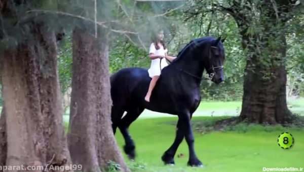  عکس دختر با اسب مشکی