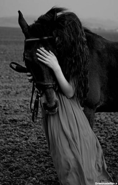  عکس دختر با اسب مشکی