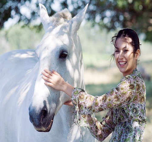  عکس اسب سفید