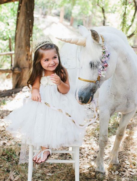  عکس اسب سفید در طبیعت