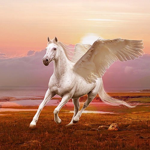  عکس اسب سفید در طبیعت