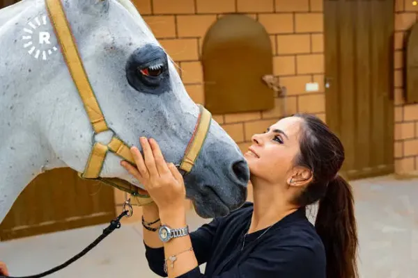  عکس اسب اصیل عرب