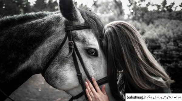  عکس دختر با اسب فیک