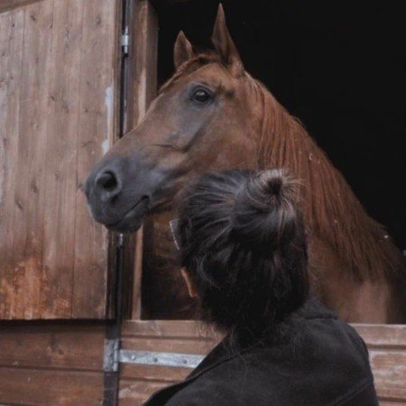  عکس اسب با دختر