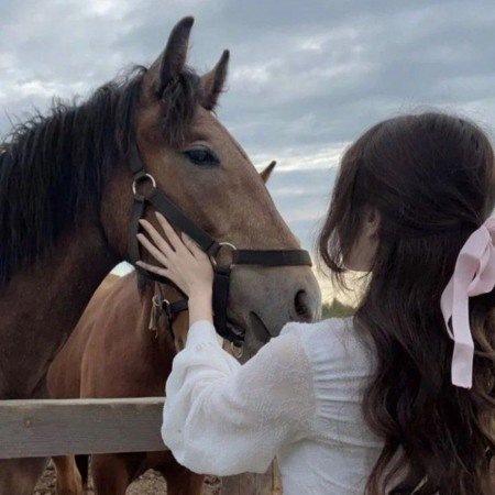  عکس اسب با دختر