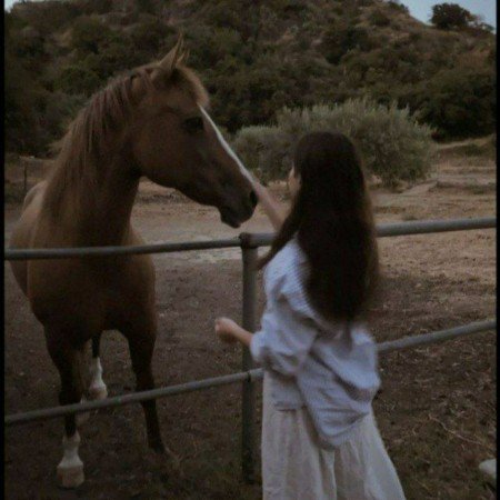  عکس اسب با دختر