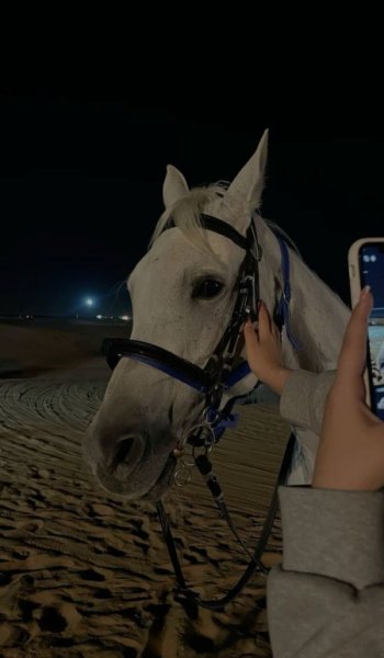  عکس اسب با دختر