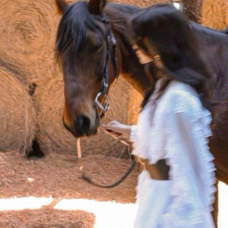  عکس اسب با دختر