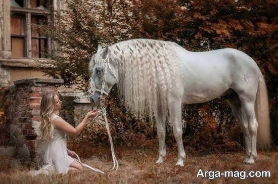  عکس اسب و دختر عاشقانه