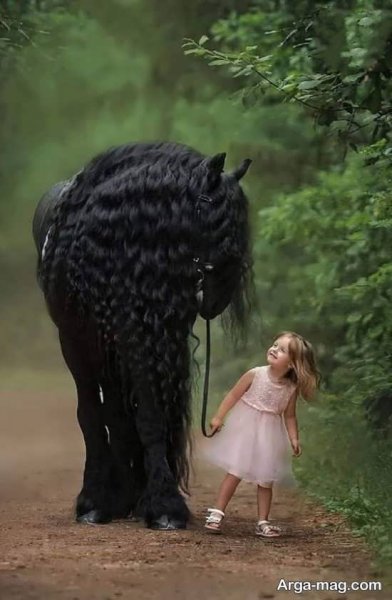  عکس اسب و دختر عاشقانه