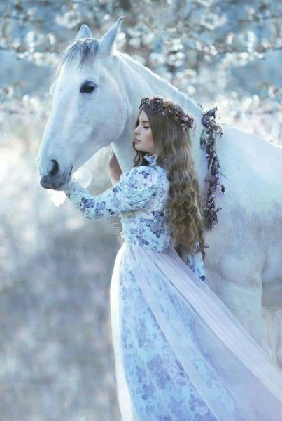  عکس اسب و دختر برای پروفایل