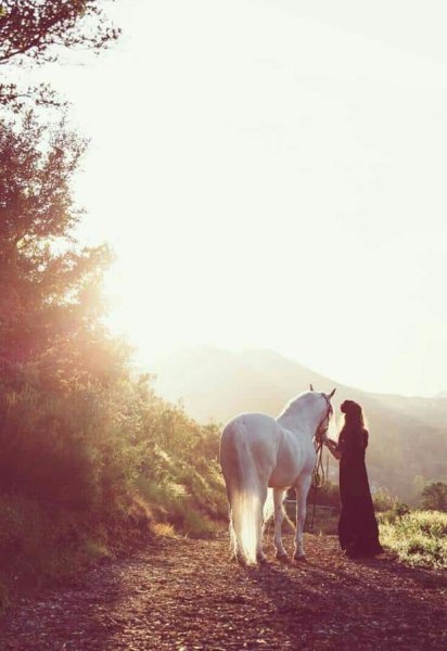  عکس اسب و دختر برای پروفایل