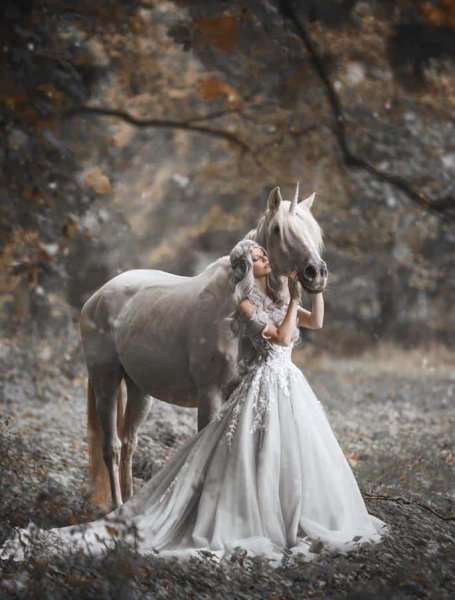  عکس اسب و دختر برای پروفایل