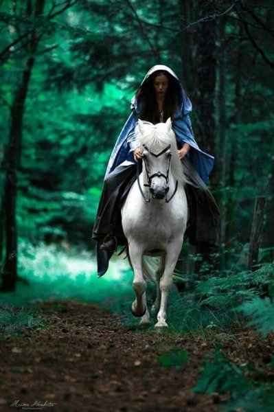  عکس اسب و دختر برای پروفایل