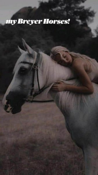  عکس اسب و دختر برای پروفایل