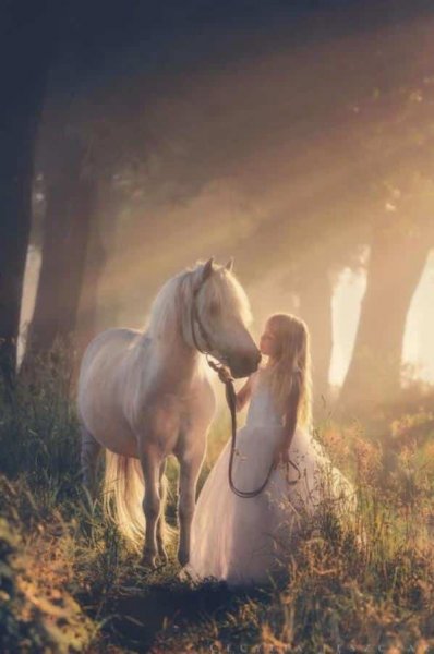  عکس اسب و دختر برای پروفایل