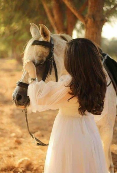  عکس اسب و دختر برای پروفایل