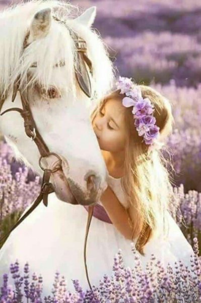  عکس اسب و دختر برای پروفایل