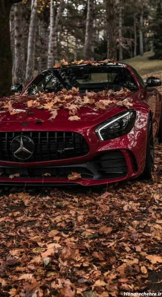  عکس اسپرت برای پس زمینه