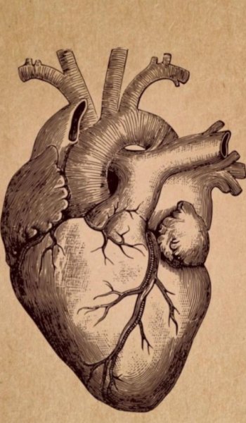  پس زمینه عاشقانه کیوت