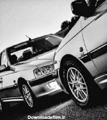  عکس ۴۰۵ شوتی با رینگ خرچنگی سفید