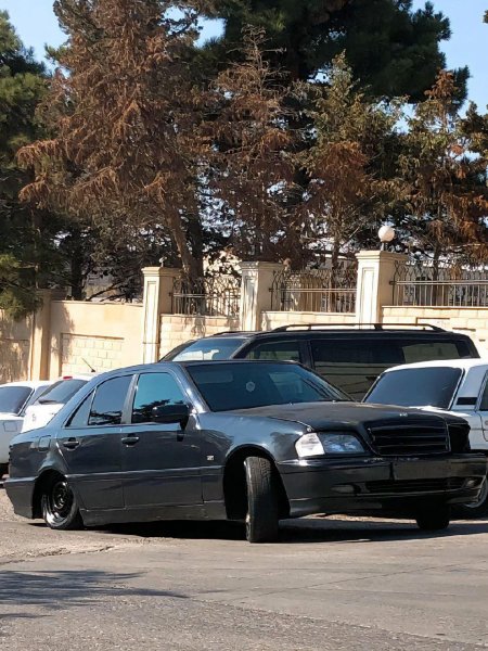 عکس ۴۰۵ شوتی با رینگ خرچنگی برای پروفایل