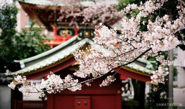  عکس عاشقانه زن و مرد