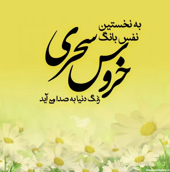  یک عکس عاشقانه صبح بخیر