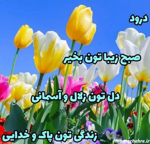  یک عکس عاشقانه صبح بخیر