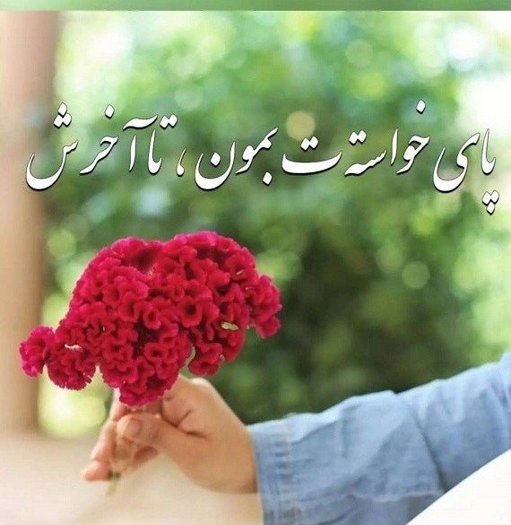  پروفایل همسرم وبچه هام