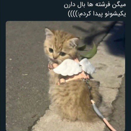  عکس عاشقانه پروف