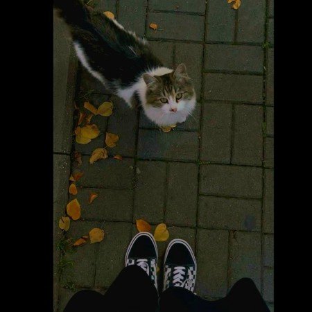  عکس عاشقانه پاییزی فانتزی